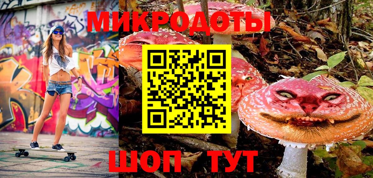 Минусинск  Псилоцибиновые грибы Cubensis  Вход с VPN 